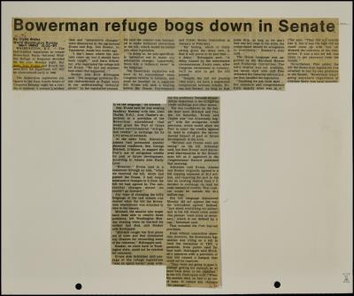 Record Image Thumbnail