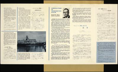 Record Image Thumbnail