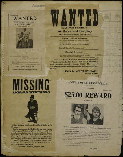 Record Image Thumbnail