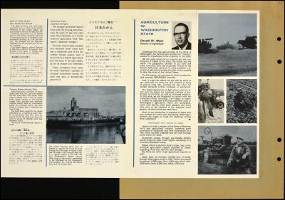 Record Image Thumbnail