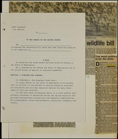 Record Image Thumbnail