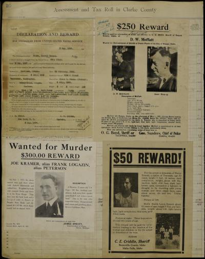 Record Image Thumbnail