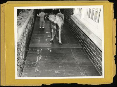 Record Image Thumbnail