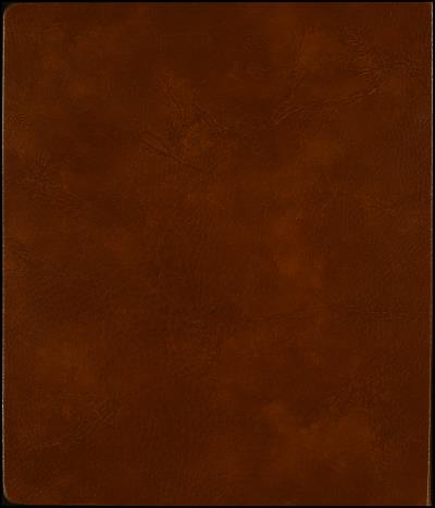 Record Image Thumbnail