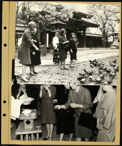 Record Image Thumbnail