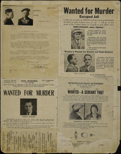 Record Image Thumbnail