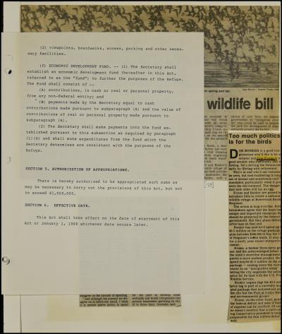 Record Image Thumbnail