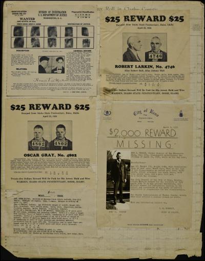 Record Image Thumbnail