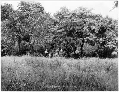 Record Image Thumbnail