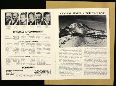 Record Image Thumbnail